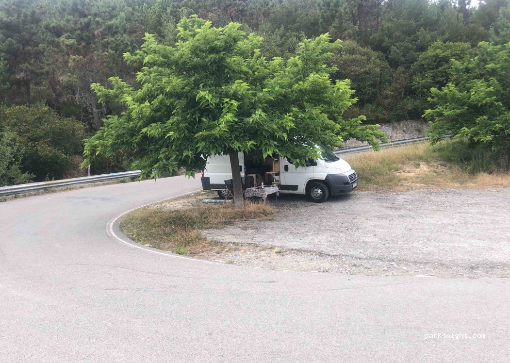 (18038) Sanremo - — foto