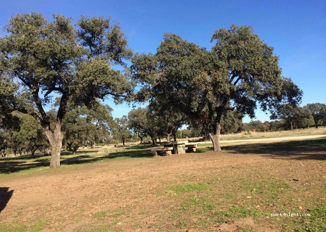 (14111) Las Pinedas - Unnamed Road — foto 2
