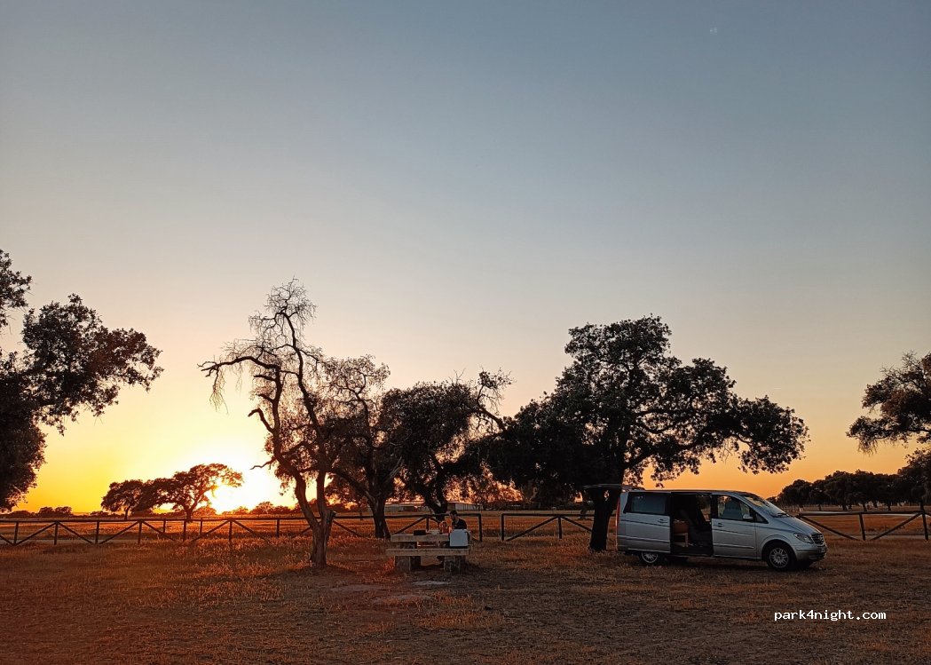 (14111) Las Pinedas - Unnamed Road — foto 3