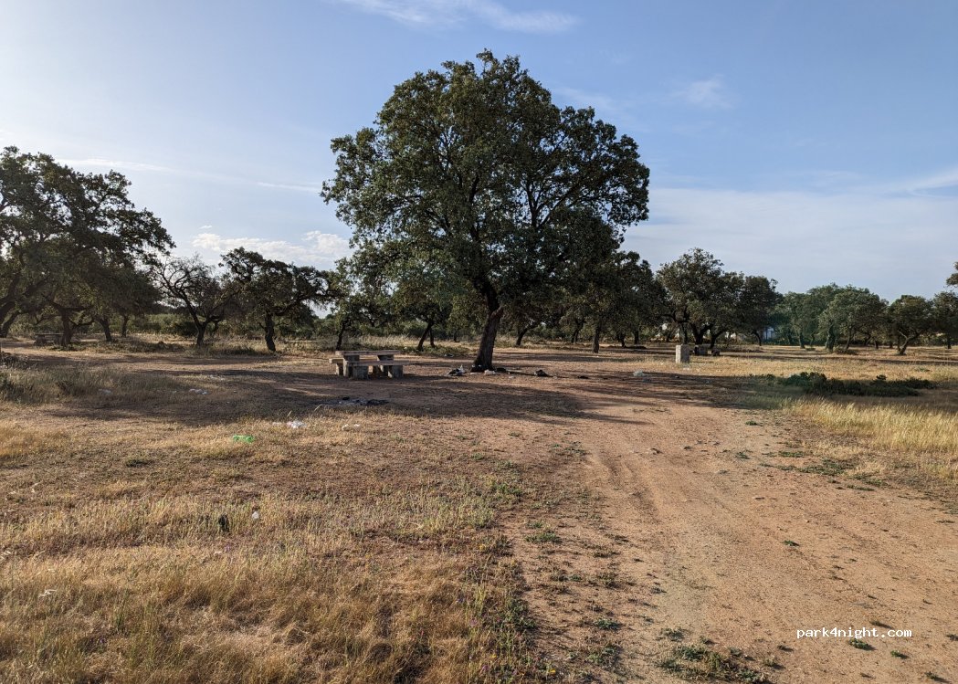 (14111) Las Pinedas - Unnamed Road — foto 4