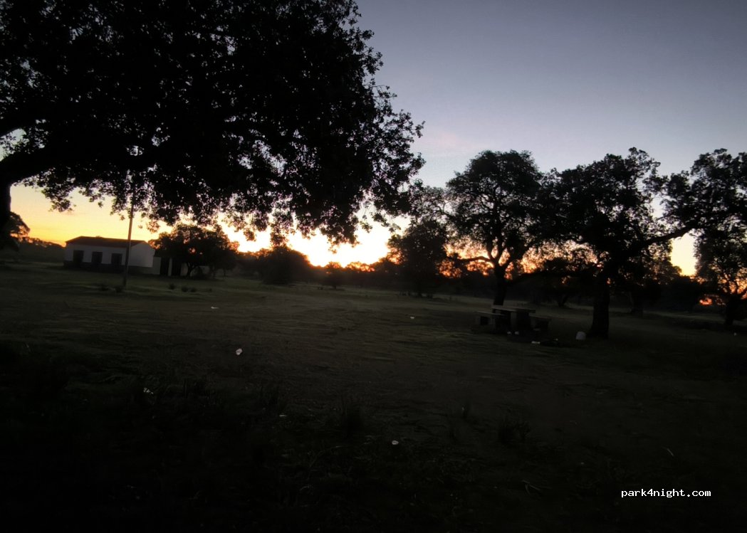 (14111) Las Pinedas - Unnamed Road — foto 5