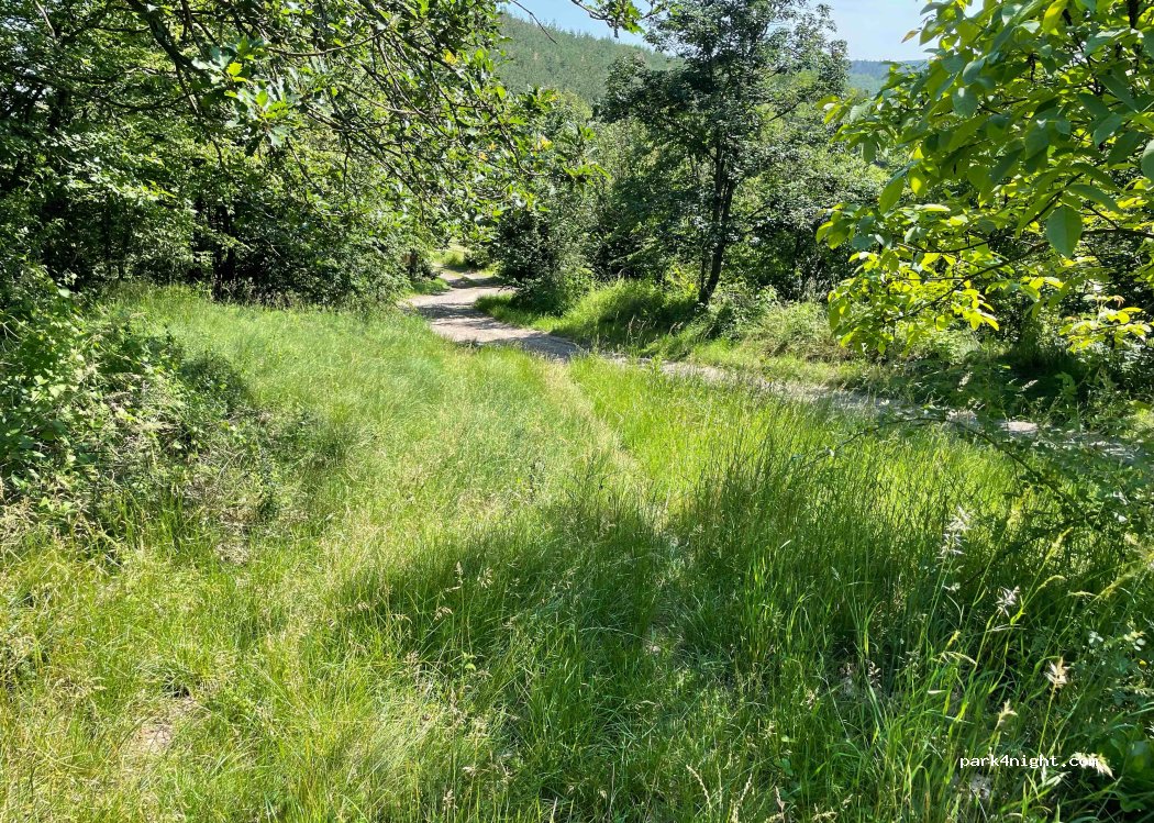 (264 01) Radíč - — foto 3