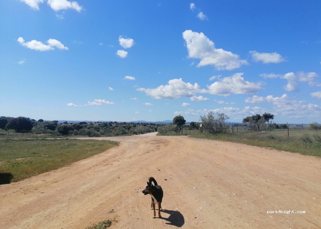 (10291) La Aldea del Obispo - — foto 2