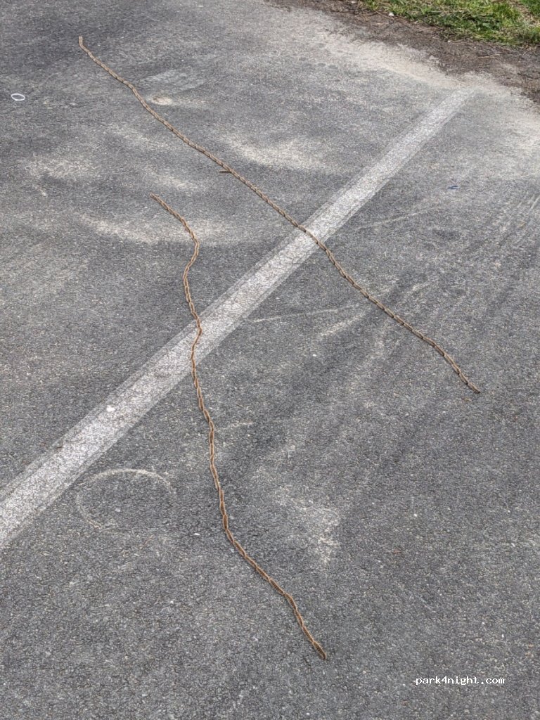 (17570) Les Mathes - Av. de l'Atlantique — foto 4