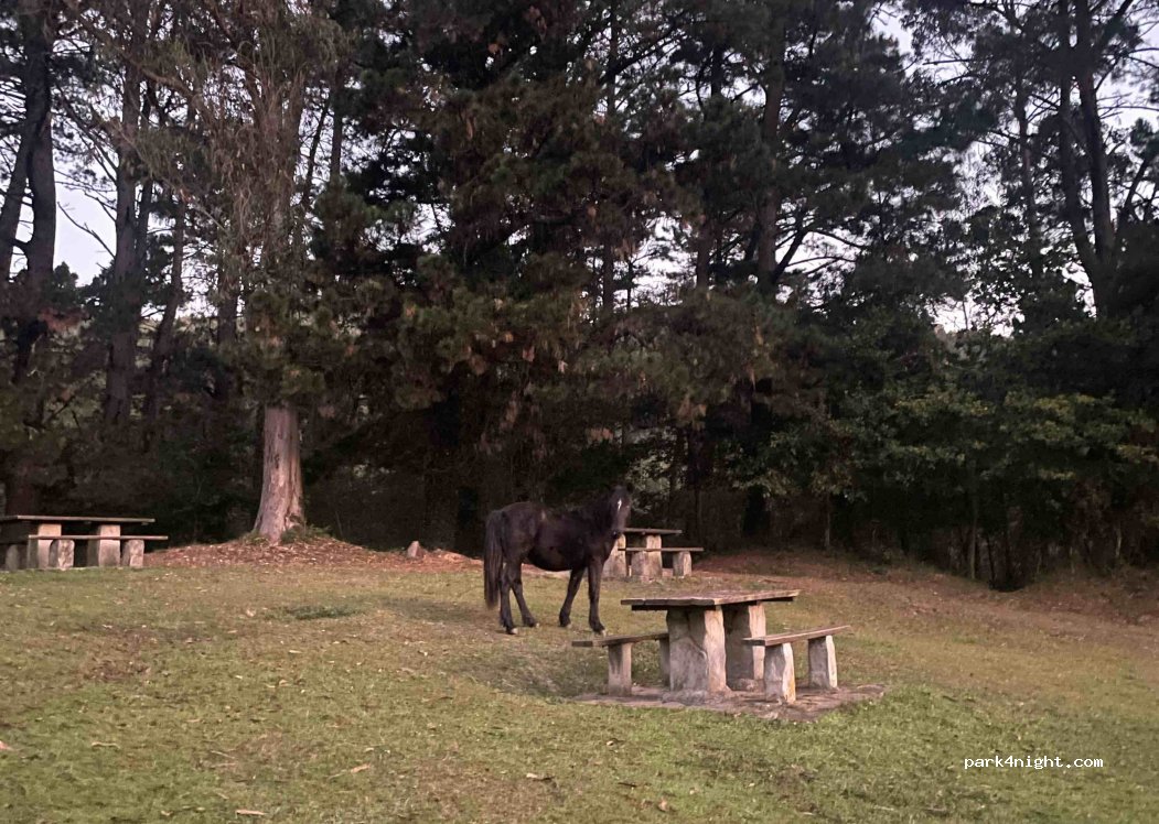 (48540) Las Cortes - A Mello Bidea — foto 2