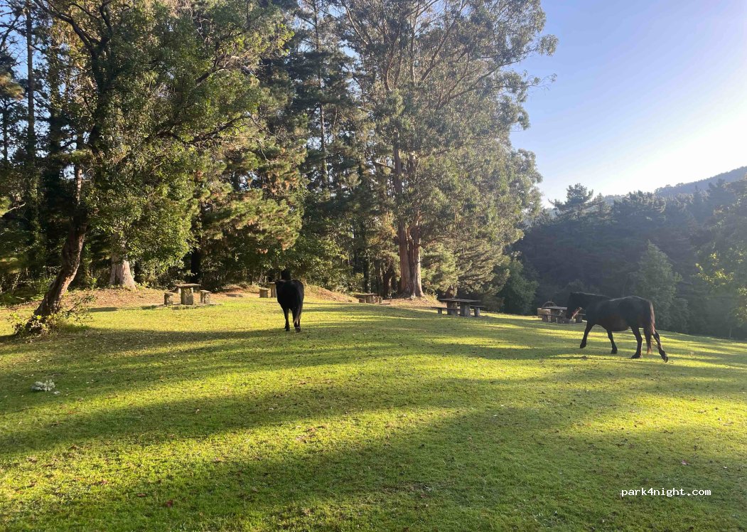 (48540) Las Cortes - A Mello Bidea — foto 3