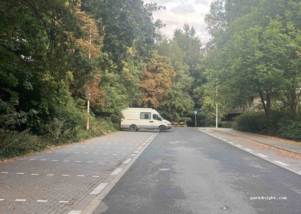 (2597 GV) Den Haag - Theo Mann-Bouwmeesterlaan — foto 4