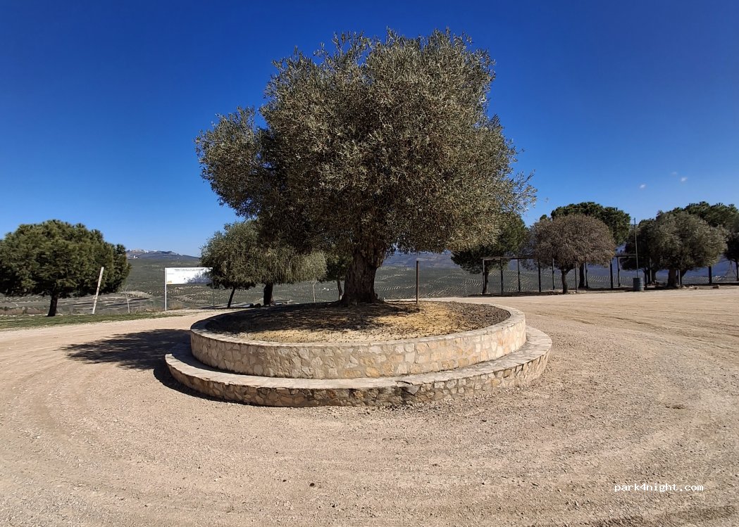 (23300) Villacarrillo - — foto 4