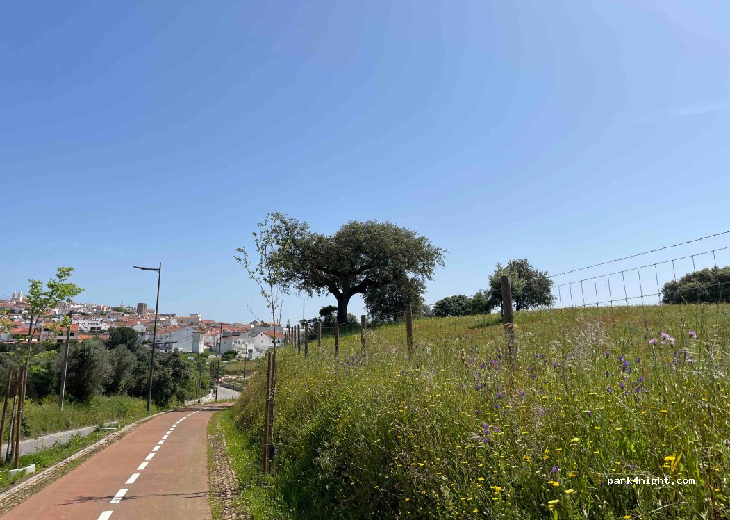 Avis, Clube Náutico — foto 4