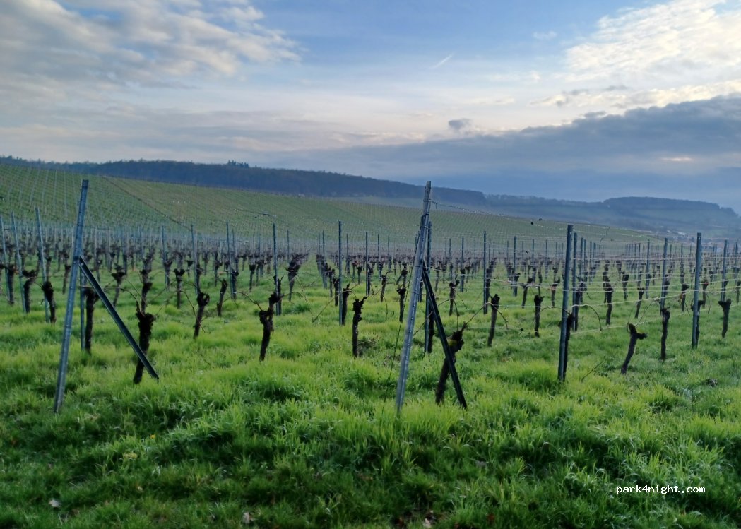 (74336) Brackenheim - — foto 3
