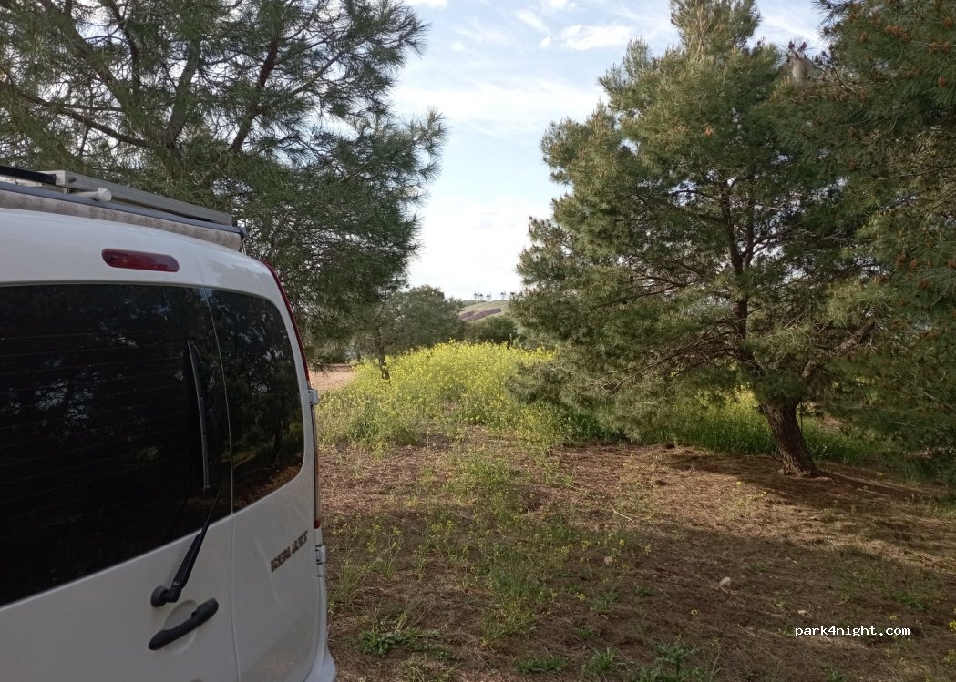 (13600) Alcázar de San Juan - Unnamed Road — foto