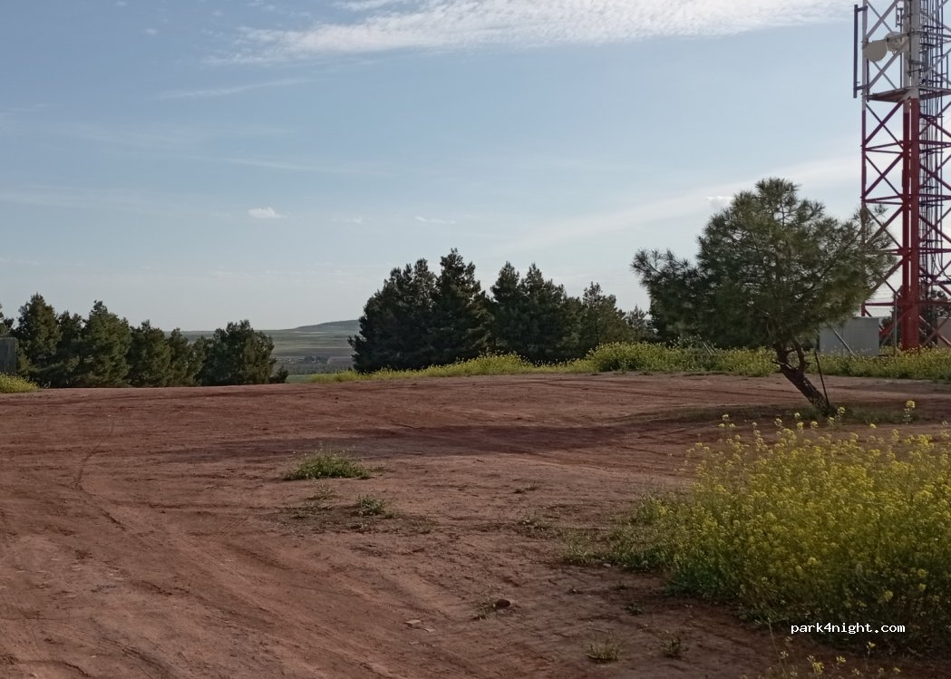 (13600) Alcázar de San Juan - Unnamed Road — foto 3