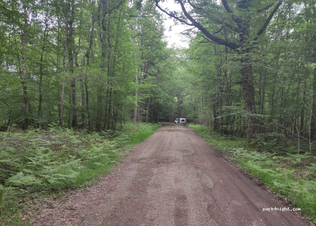 (58130) Urzy - Unnamed Road — foto 3