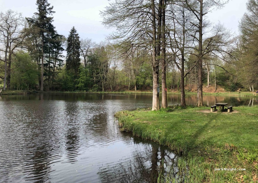 (61400) Belforêt-en-Perche - Unnamed Road — foto