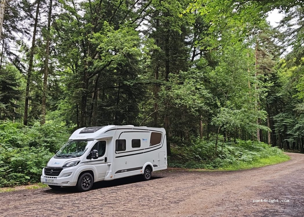 (61400) Belforêt-en-Perche - Unnamed Road — foto 4