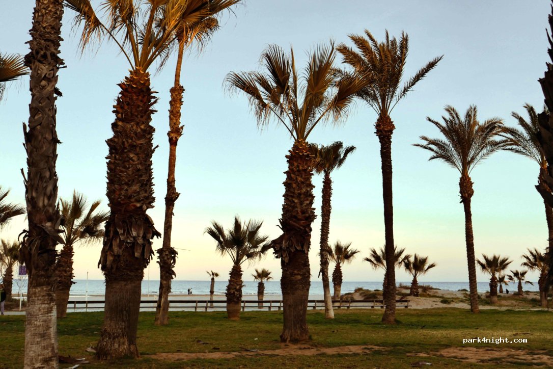 Area Autocaravanas de Castellón - Camperplana Playa del Pinar — foto 4