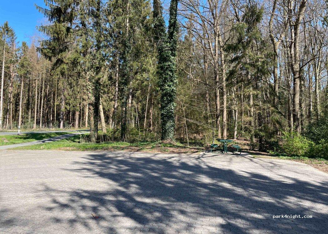 (27432) Ebersdorf - 1 Am Wald — foto