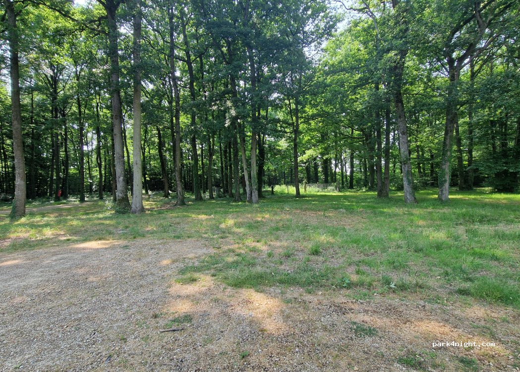 (37800) Sepmes - 8 Rue des Saulniers — foto 5