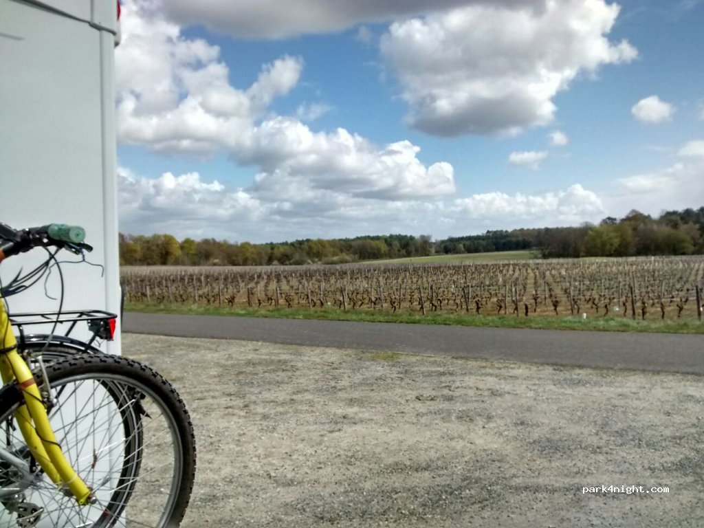 (41400) Angé - 8 Route de la Caillaudière — foto 2