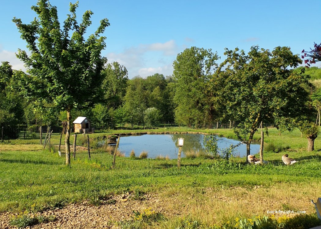 Camping TerreFerme — foto 3
