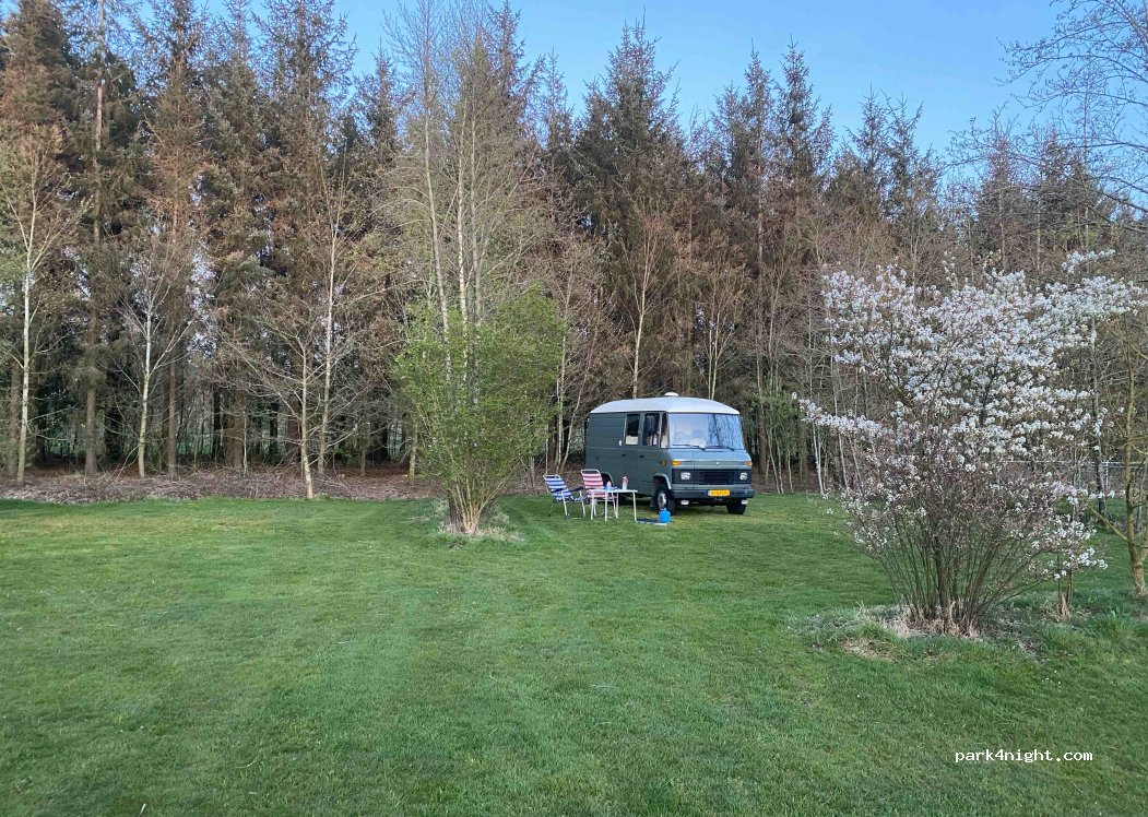 Mini Camping de Dobbe — foto 3