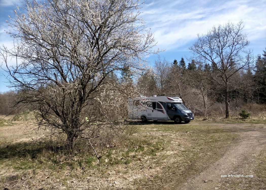 (7451) Sunds - 63 Herningvej — foto 2