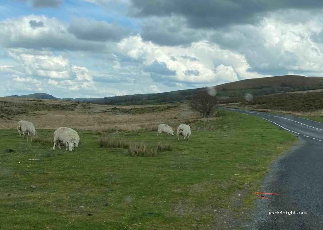 () Llandrindod Wells - A488 — foto 2