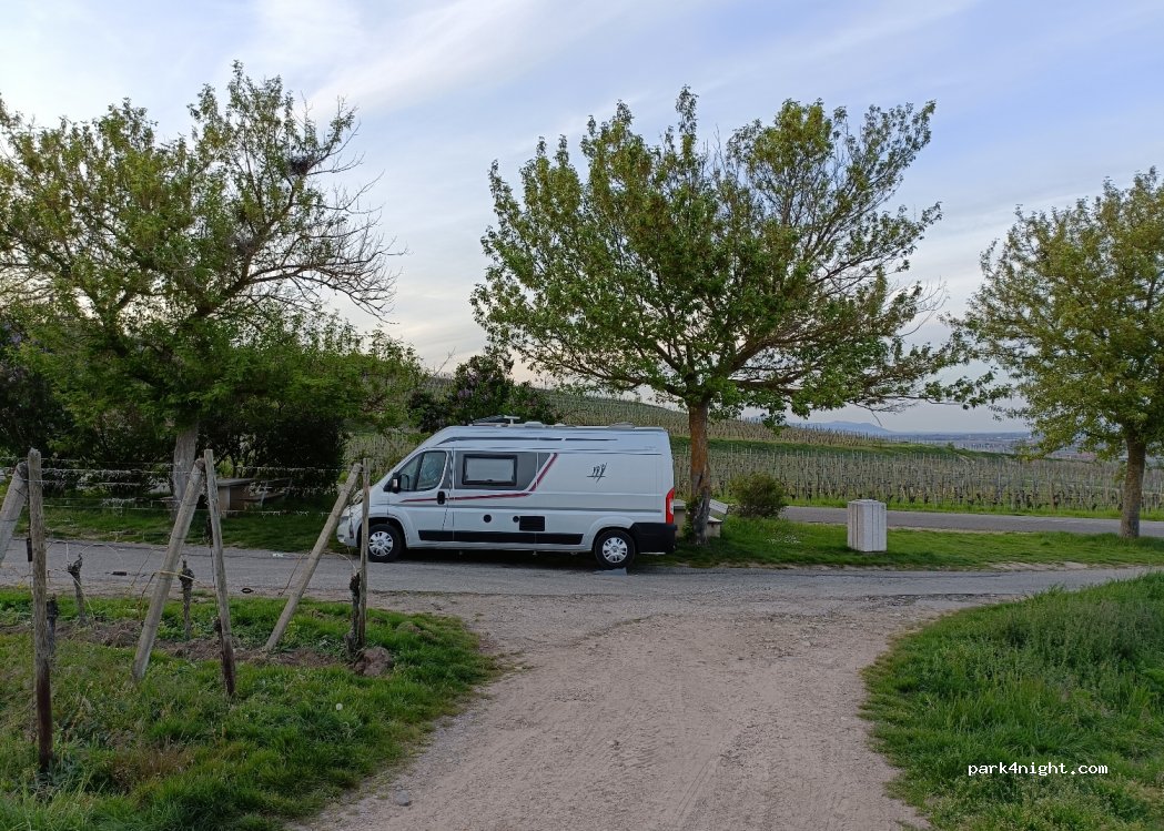 (68420) Eguisheim - D14 — foto 3