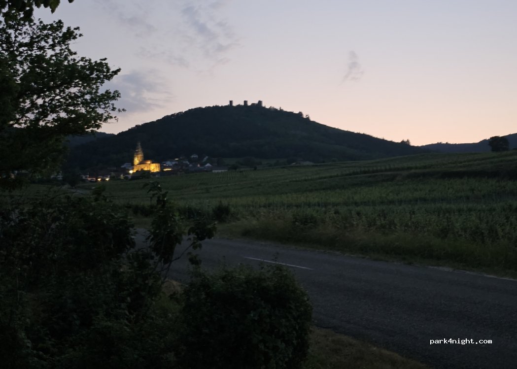 (68420) Eguisheim - D14 — foto 4
