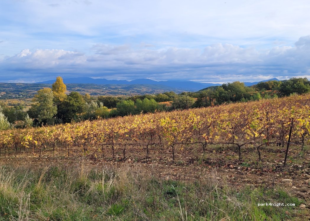 (84290) Saint-Roman-de-Malegarde - 680 Route de Rasteau — foto 2