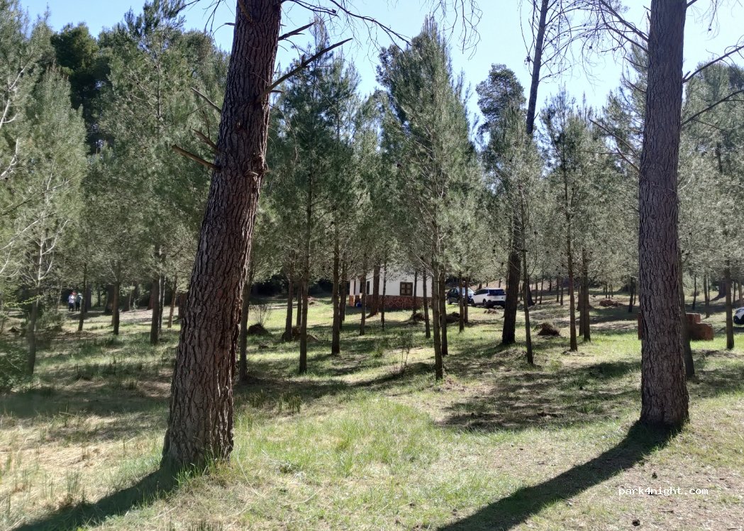 (12470) Navajas - Unnamed Road — foto 2