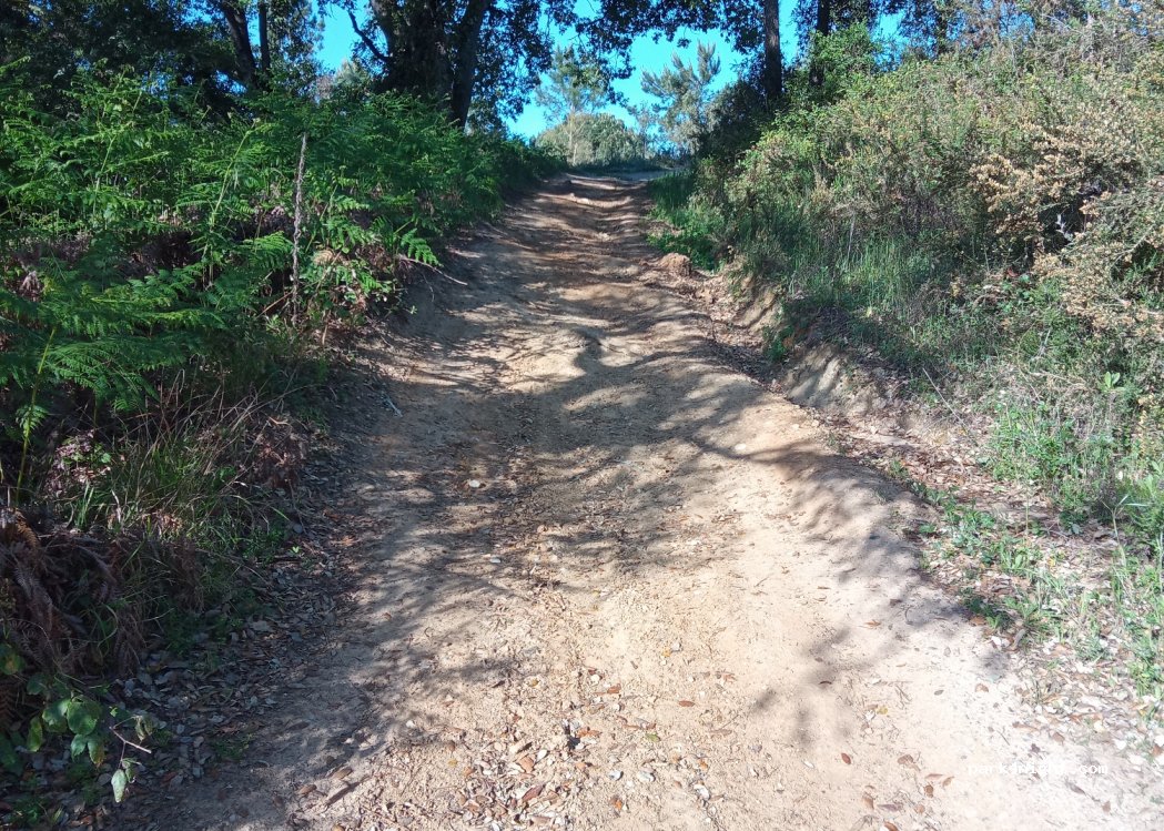 (2970-643) Santana - — foto 2