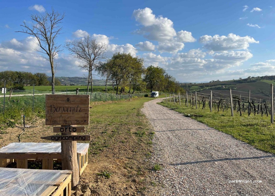 Azienda agraria bartolacci di pierini — foto