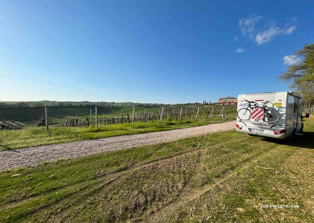 Azienda agraria bartolacci di pierini — foto 2