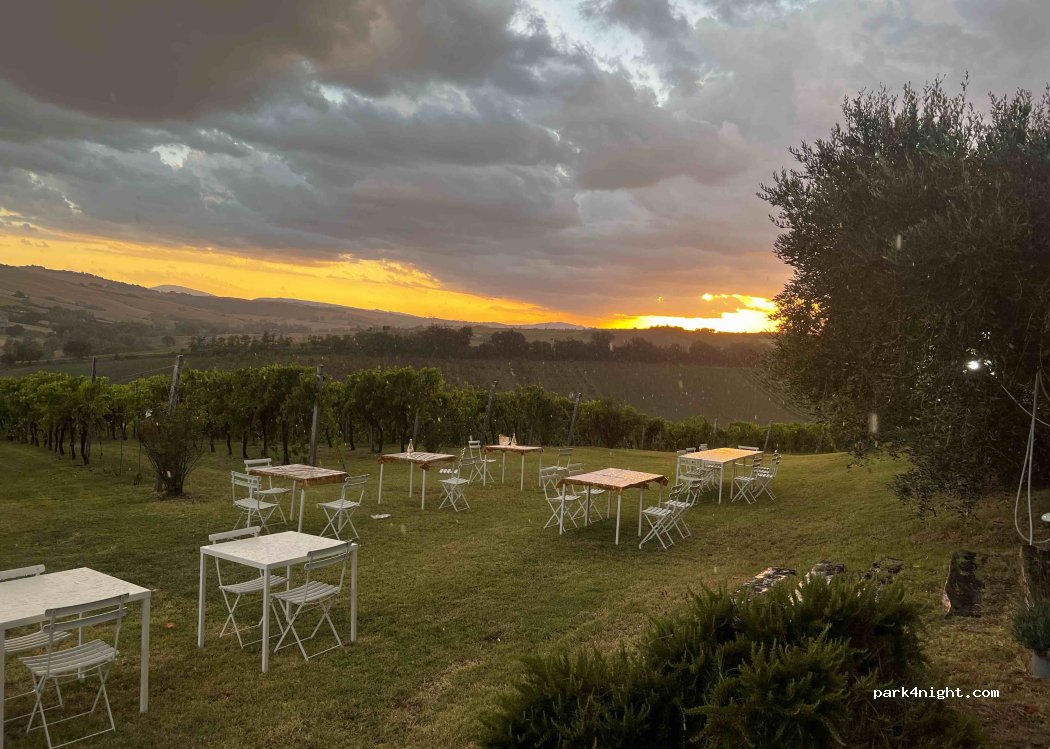 Azienda agraria bartolacci di pierini — foto 3