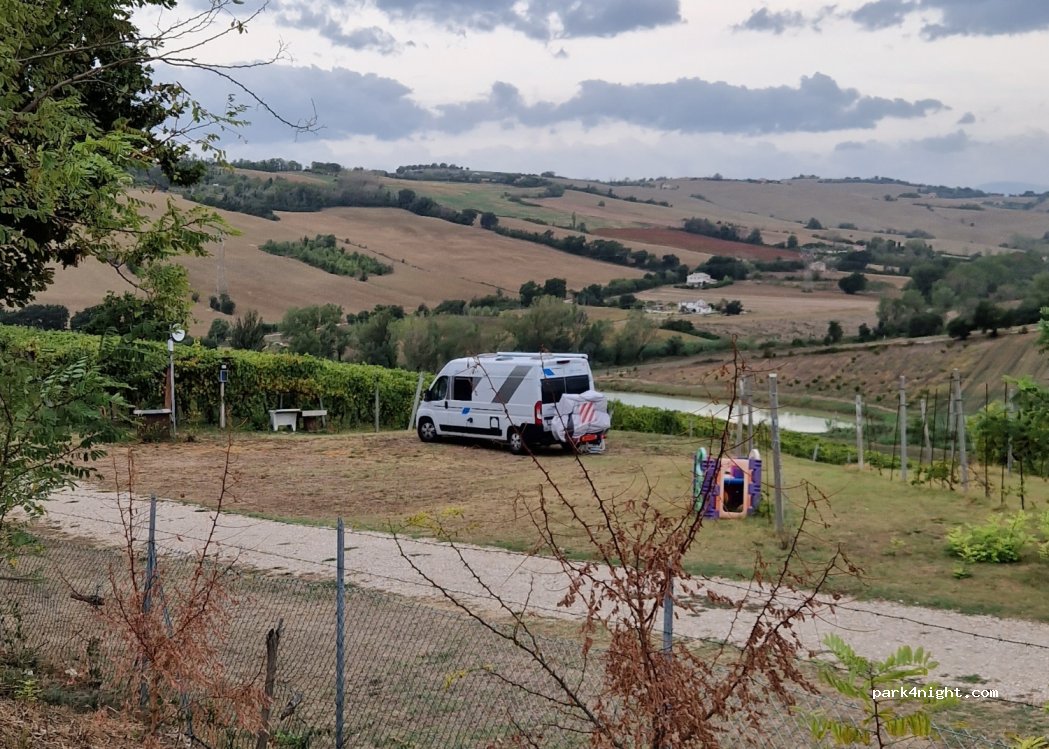 Azienda agraria bartolacci di pierini — foto 4
