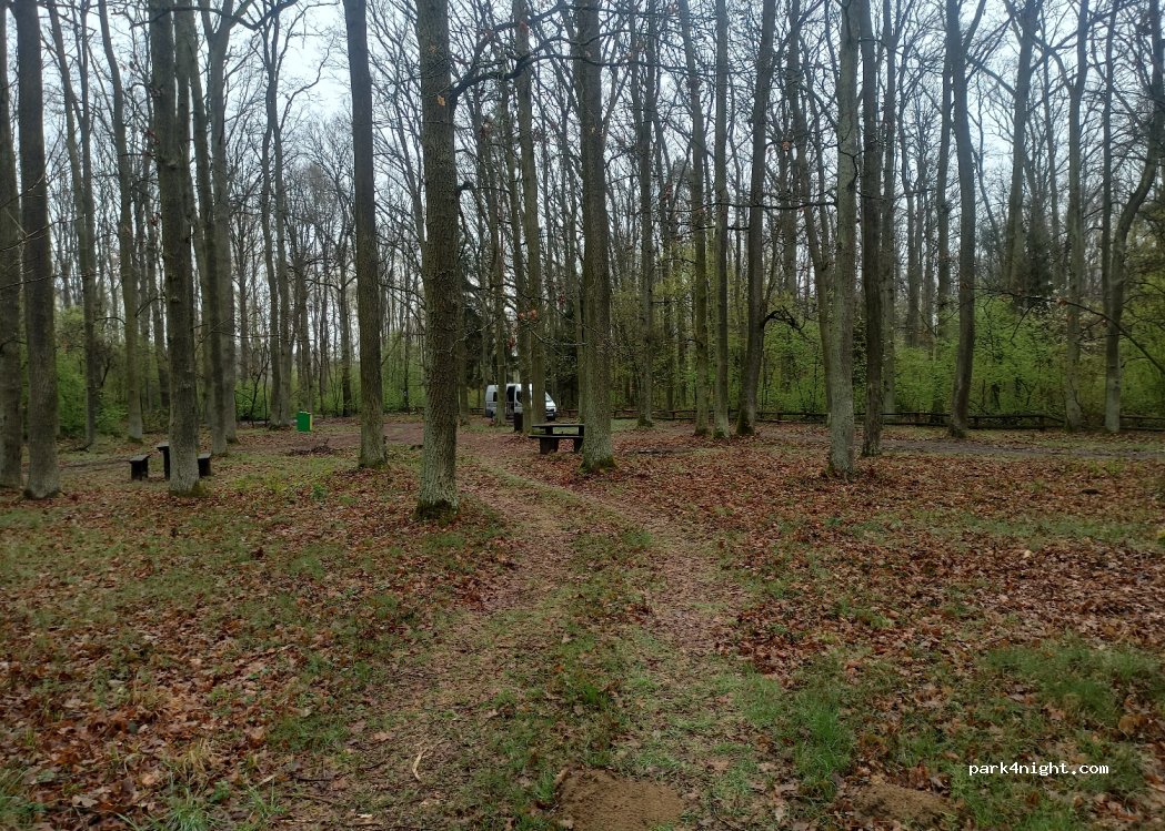 (56) Wilczyn Leśny - Unnamed Road — foto 2