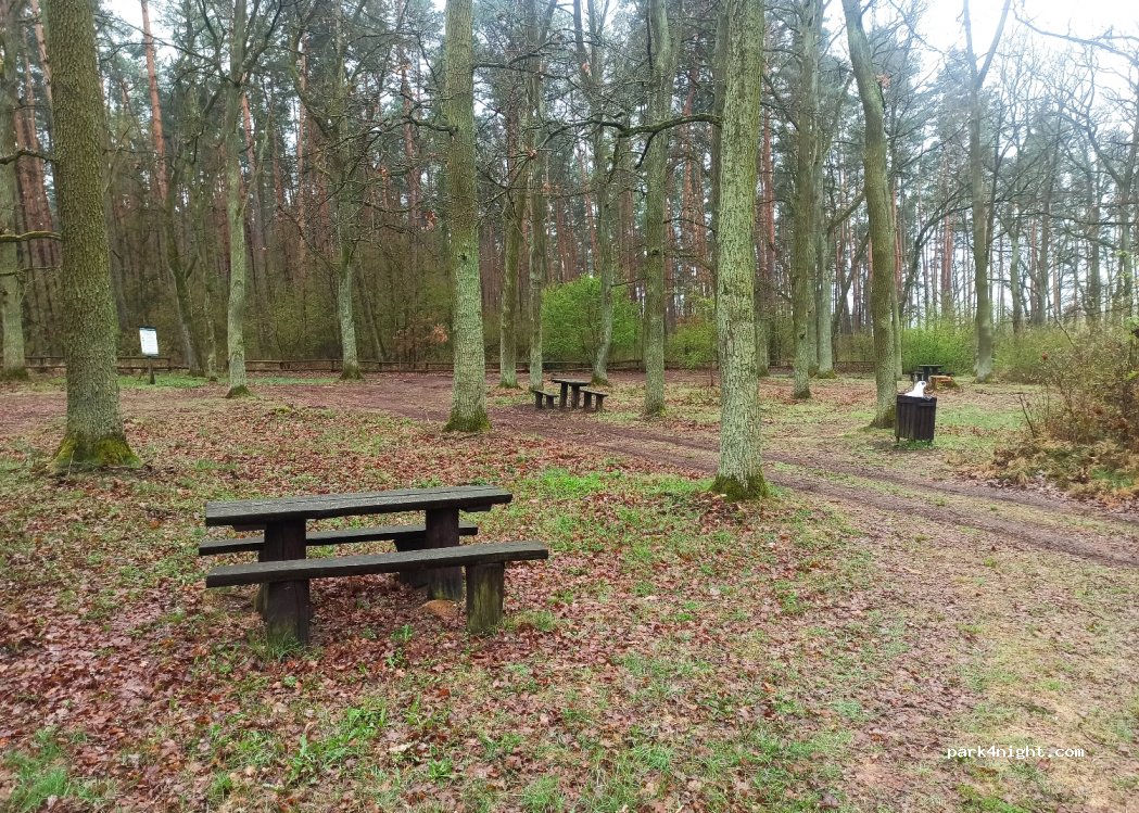 (56) Wilczyn Leśny - Unnamed Road — foto 3
