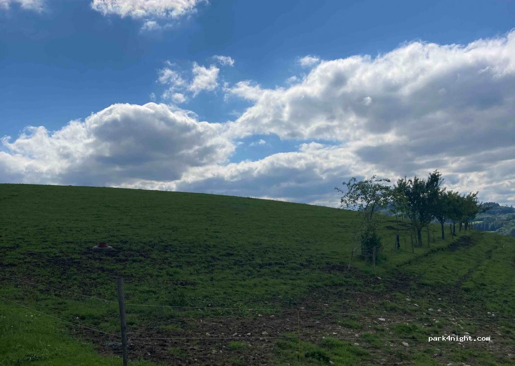 Beim AUER — foto
