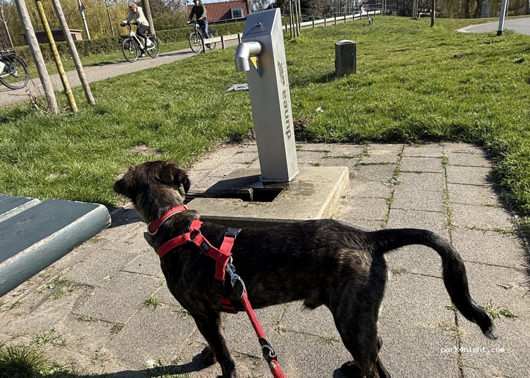 (2161 AR) Lisse - 7 Leidsevaart — foto 3