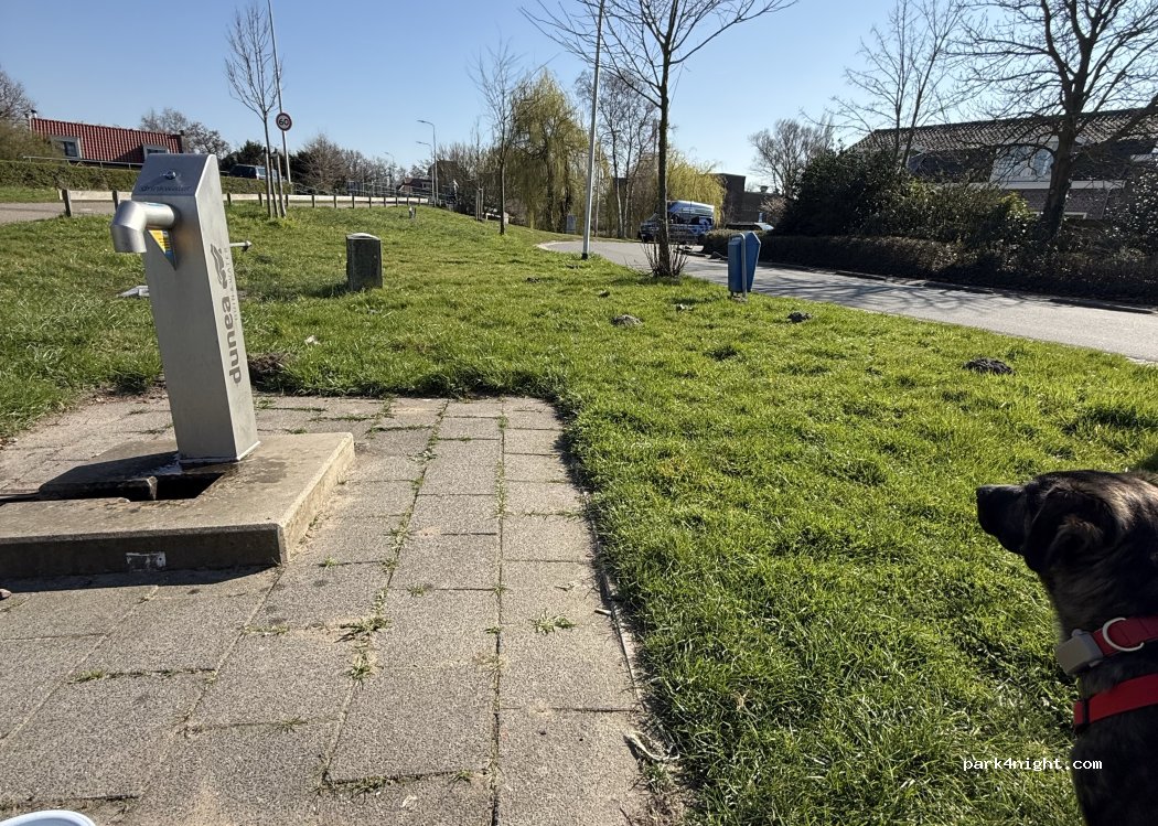 (2161 AR) Lisse - 7 Leidsevaart — foto 5