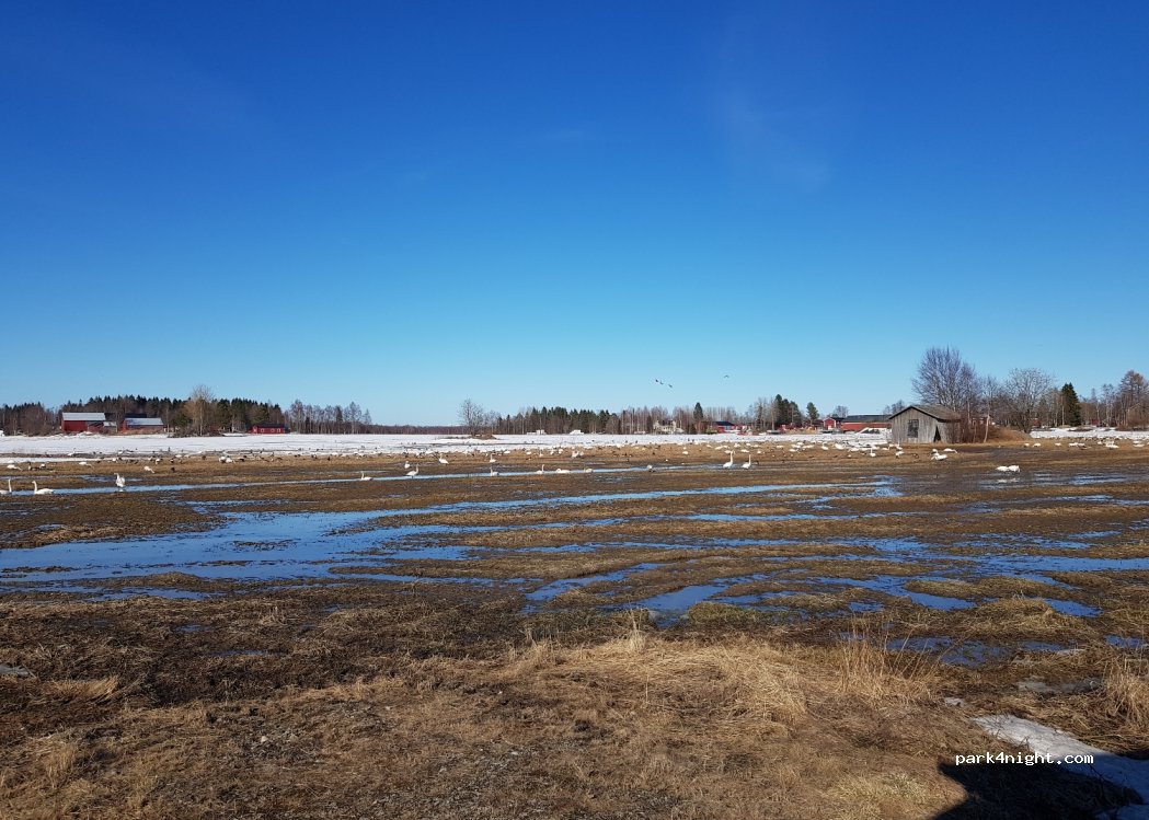 () Umeå - — foto
