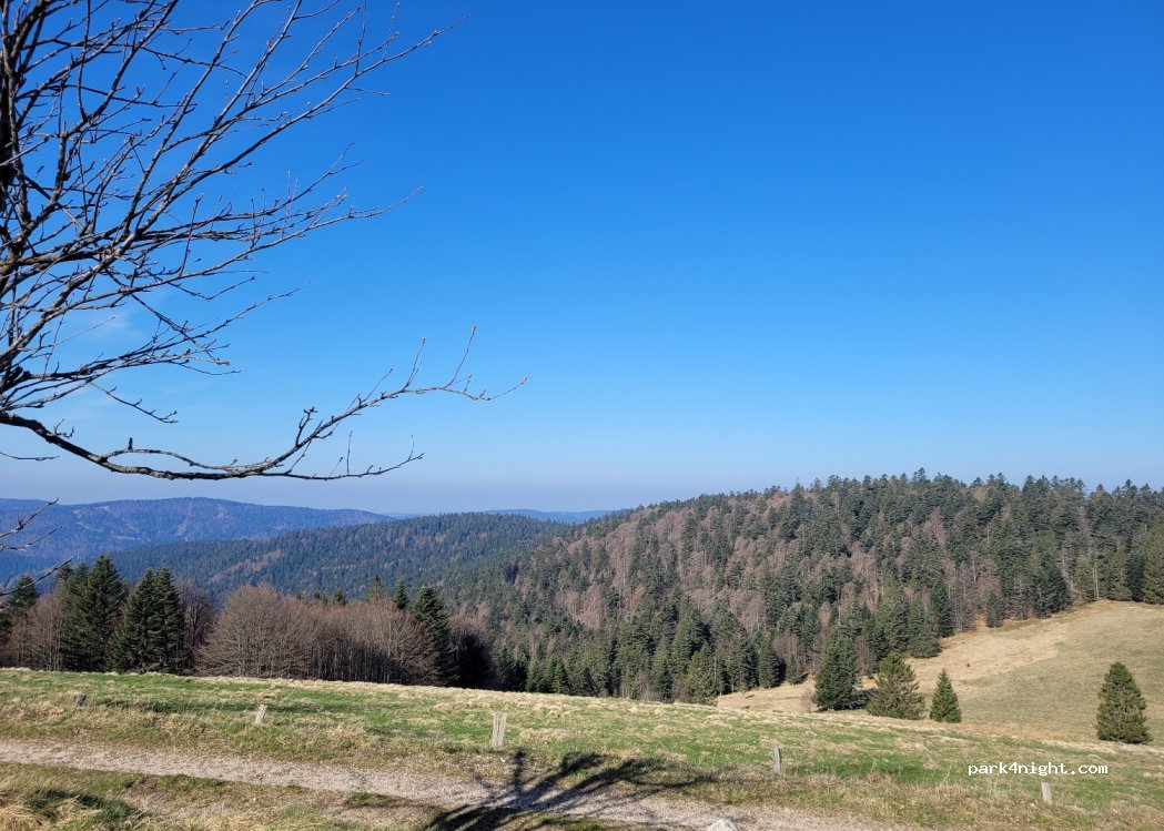 (88310) Cornimont - Chaume du Grand Ventron — foto