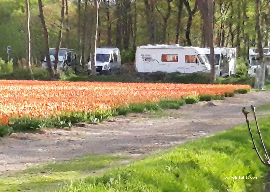 (2161 DT) Lisse - 12 Loosterweg Zuid — foto 3