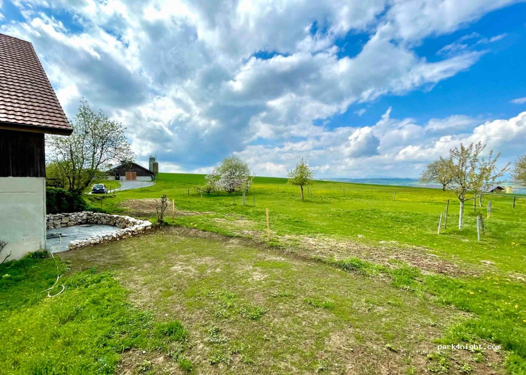 La Ferme des Alpagas de Dompierre ! — foto