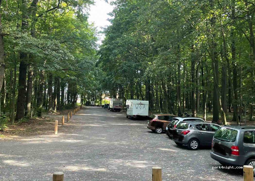 (49413) Dinklage - 10 Am Burgwald — foto 3