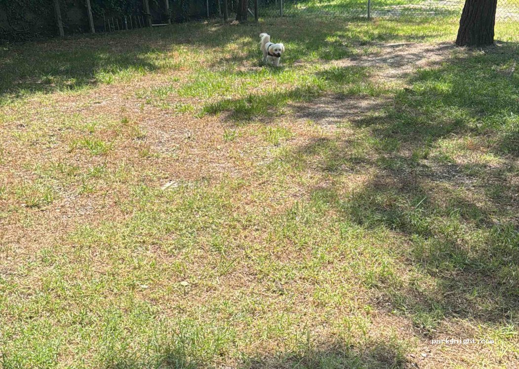 Holiday Park Rivaverde — foto 4