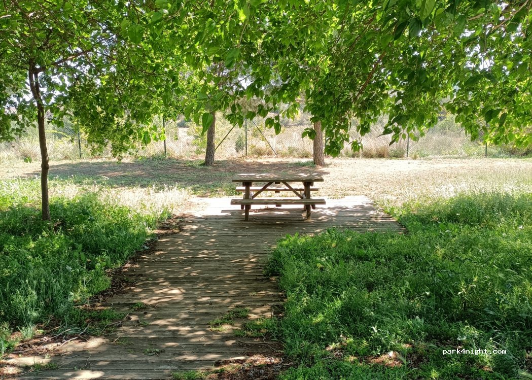 (43717) La Bisbal del Penedès - — foto 2