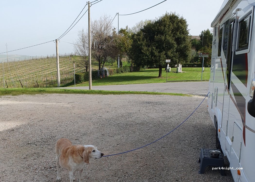 (60013) Corinaldo - Strada Provinciale Senigallia Albacina, 2 — foto 2