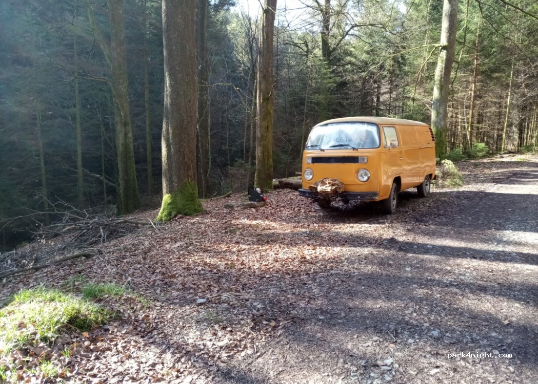 (4990) Lierneux - — foto
